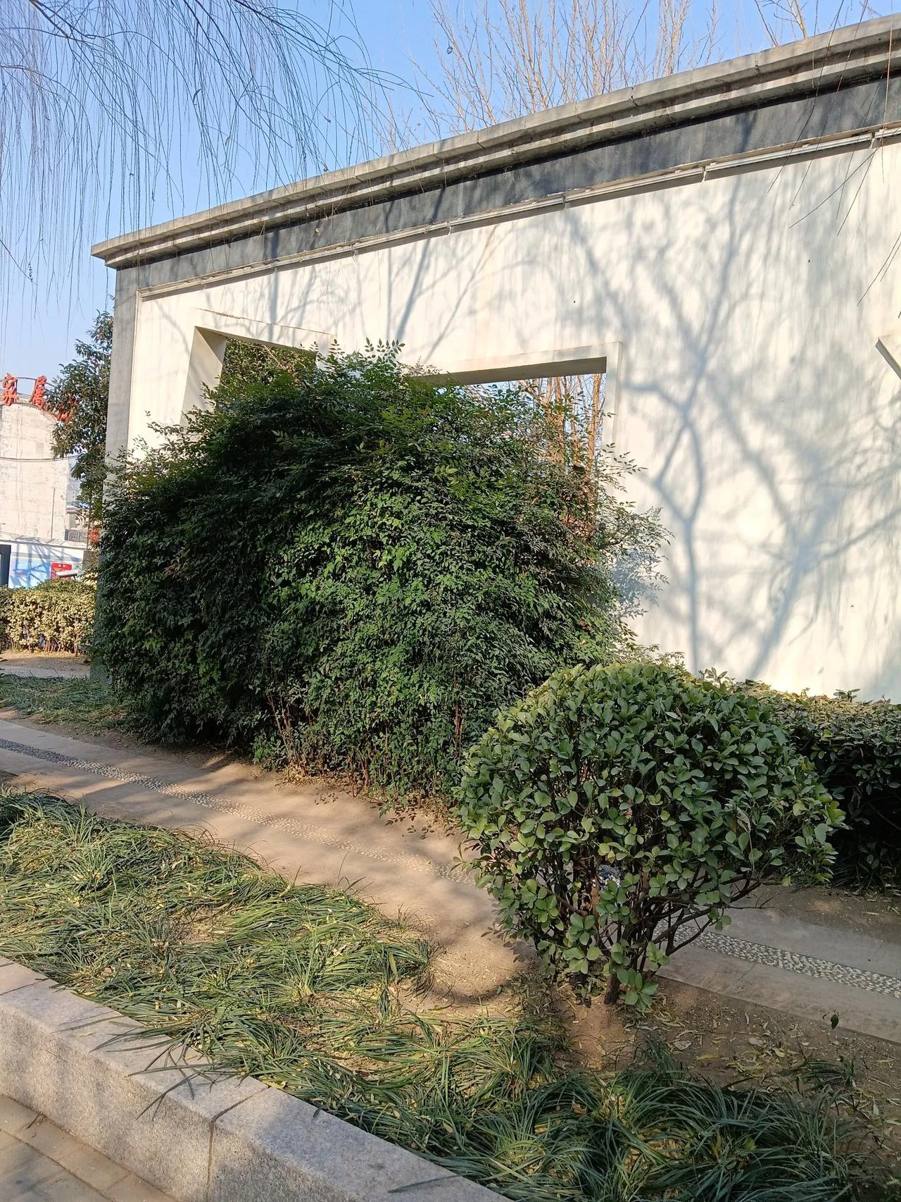 街头随拍分享