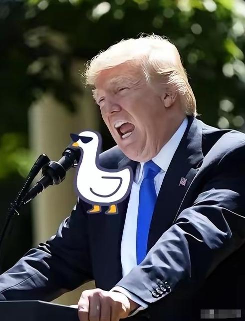 美国承认了，
4月7日，美军自己承认了，说已经打击了伊朗超过1.3万个目标，还弄