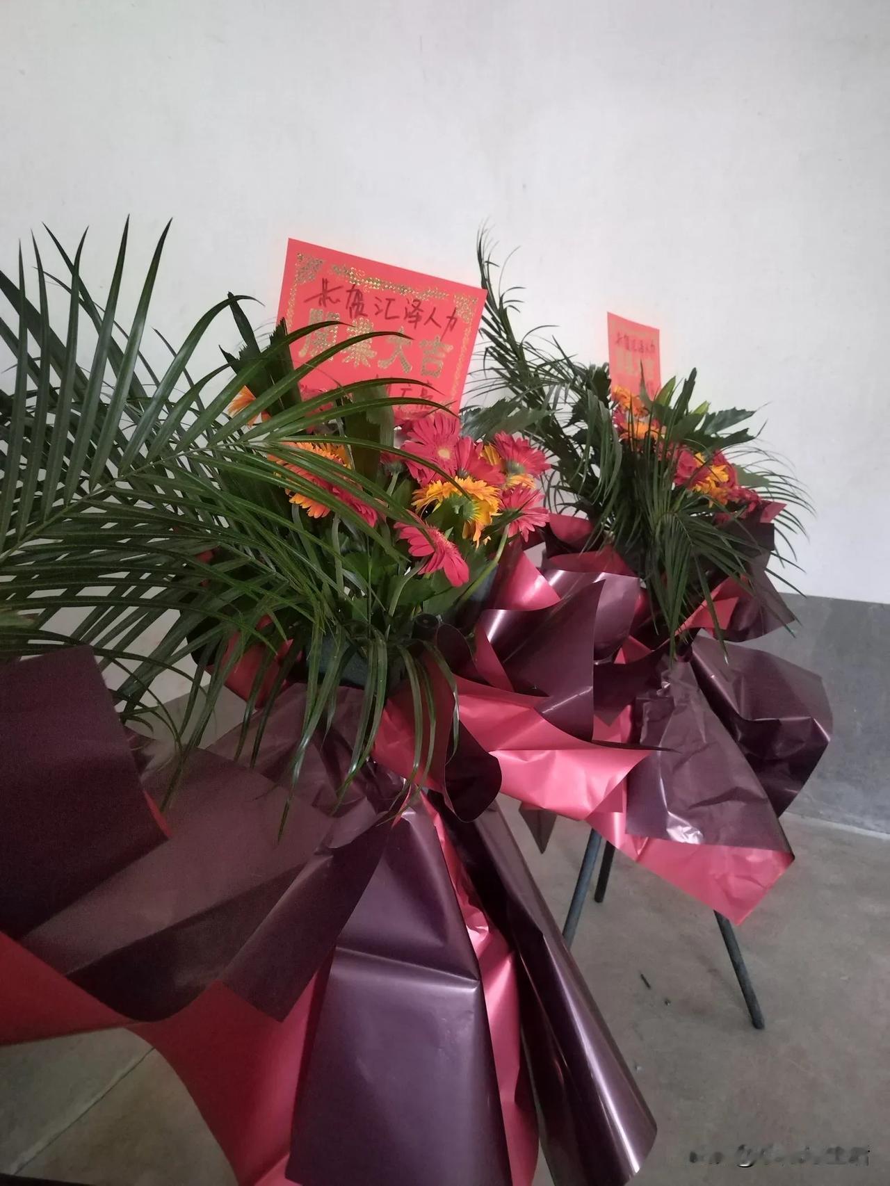 嫂子开业，打电话让我去拍视频，还要全程跟拍。这么看的起我吗？就我这水平哪有自信啊