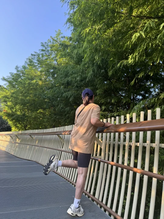 🌳不如老妈系列