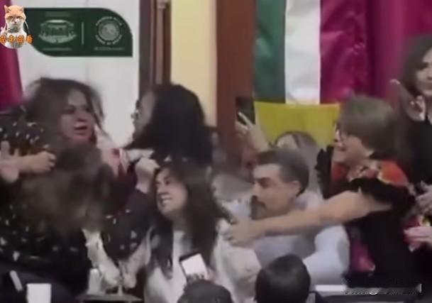 墨西哥市议会变“擂台”！女议员互扯扭打 男议员成“沙包”

墨西哥首都墨西哥市议