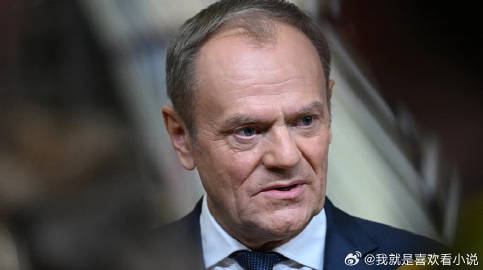 波兰总理唐纳德·图斯克透露，总统弗拉基米尔·泽连斯基在最近的谈话中表示...