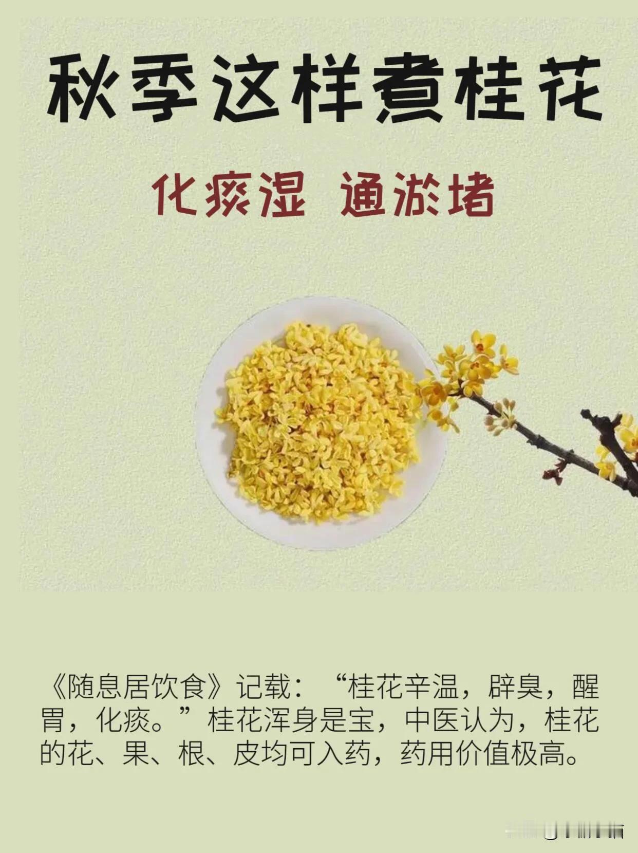 桂花：民间有“春饮玫瑰，秋饮桂”的习俗，也有“十里桂   花飘香”的美誉，其精髓