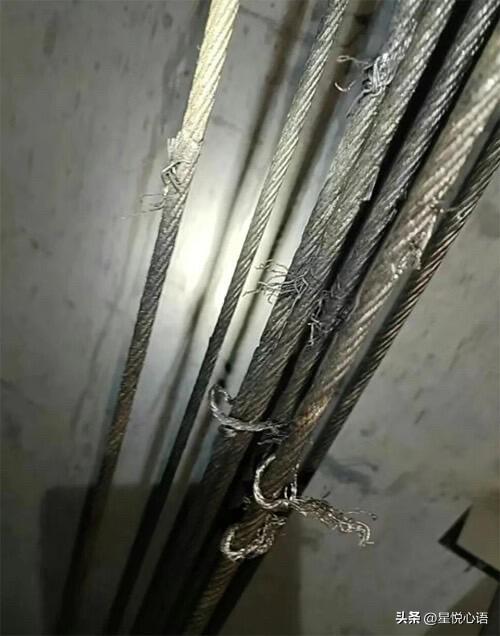 小区23部电梯钢绳被割！
这俩人胆也太肥了吧！

刚看到个新闻，呼和浩特祥瑞家园