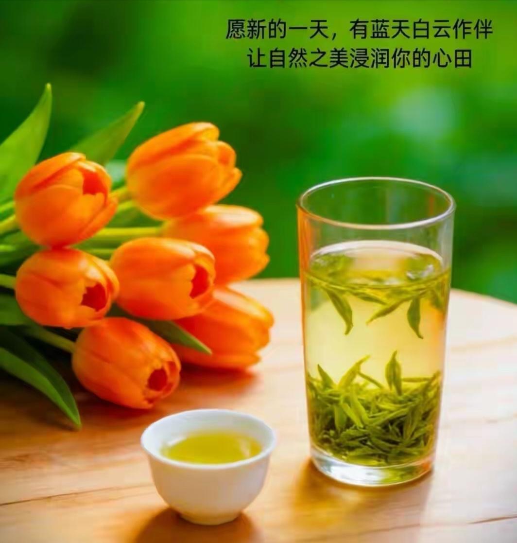 早上好，新的一天。春日清新茶香，与橙花共赏自然之美。[玫瑰][微风][微风]