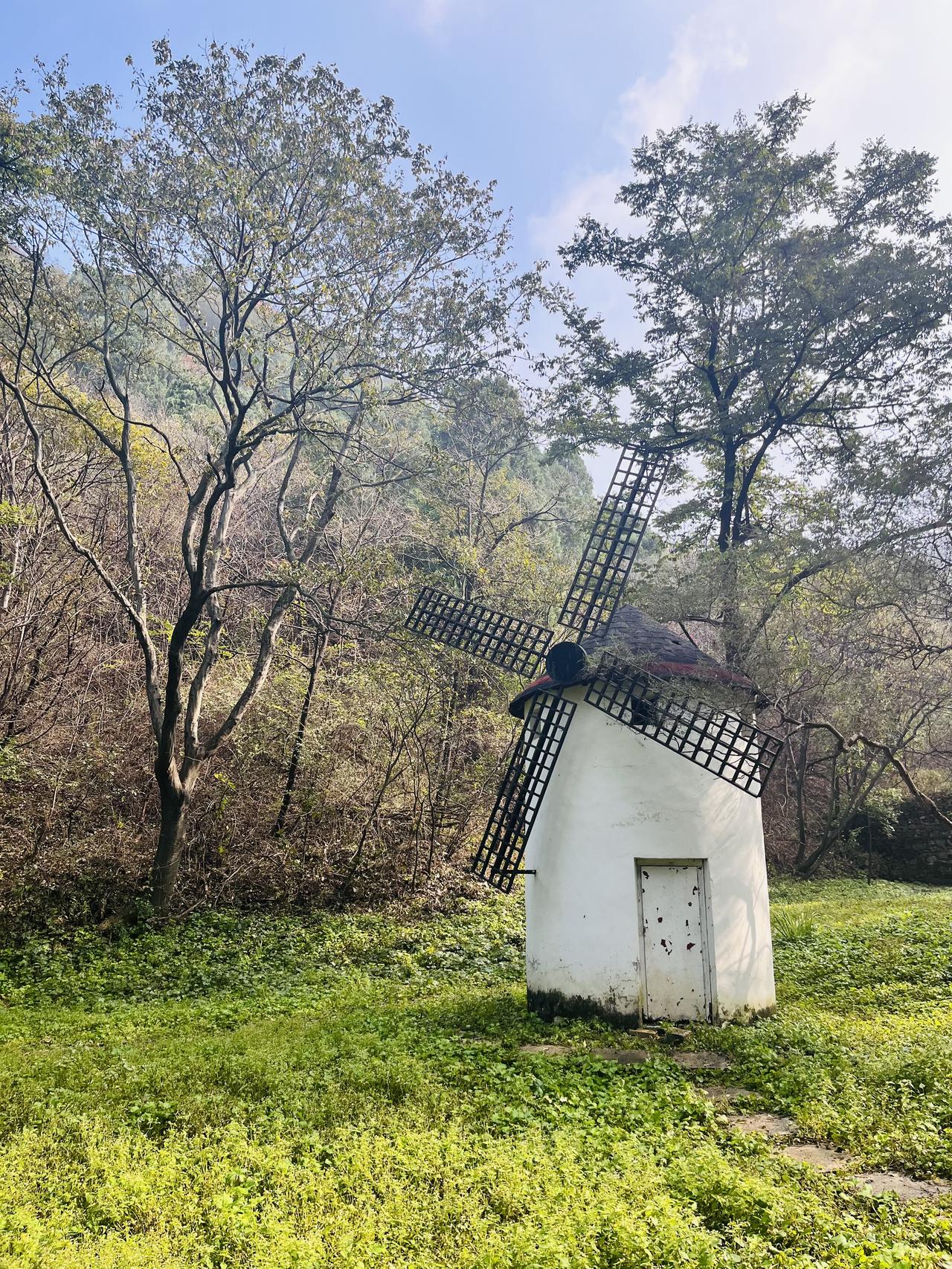 分享手机里随手拍的风景相片