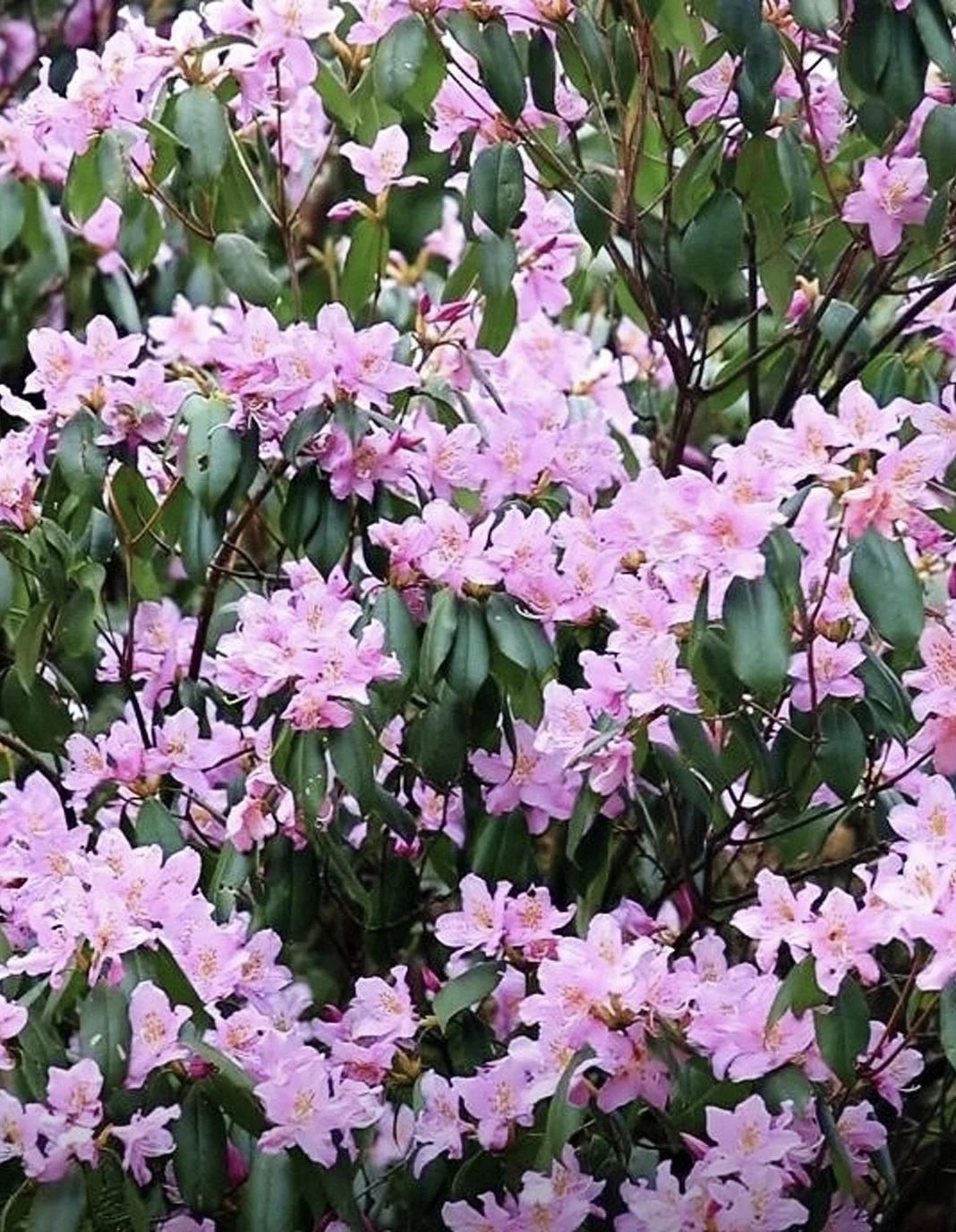 【不透露人脉，是自保；遇不公先控情绪，是理智】
        不透露人脉，这绝