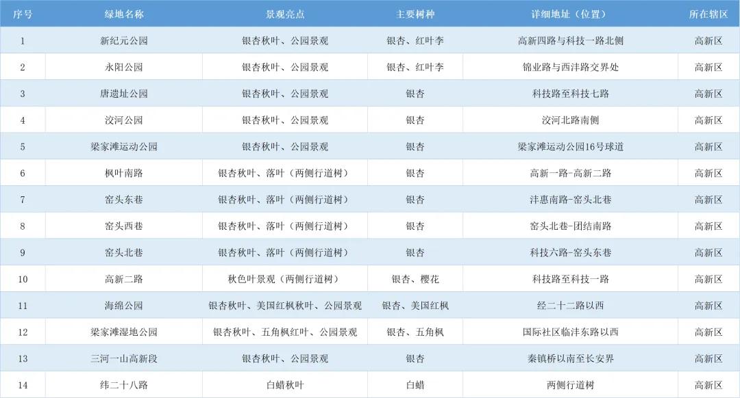 西安高新区“落叶缓扫”范围扩大至14个点位
为幸福高新注入更多的温情与诗意
11