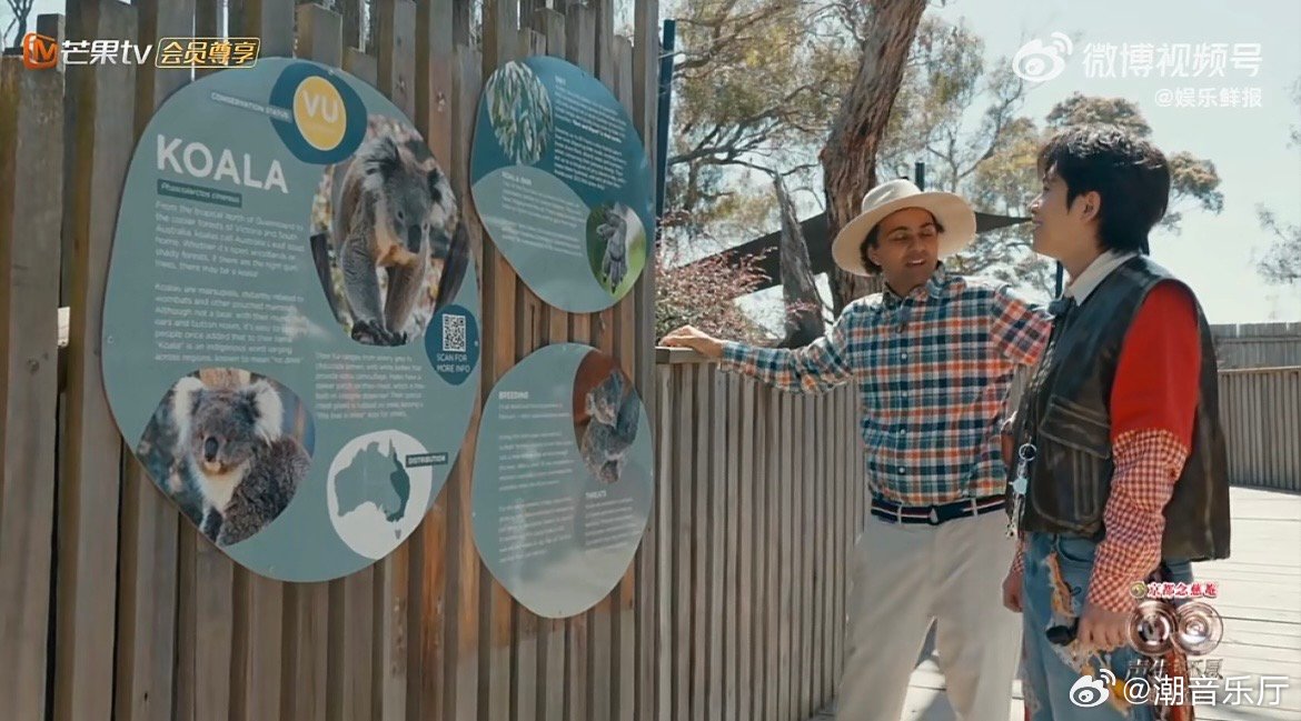 武艺羡慕考拉吃了睡睡了吃 谁懂！武艺羡慕考拉的点，正是我们最向往的，吃了睡睡了吃