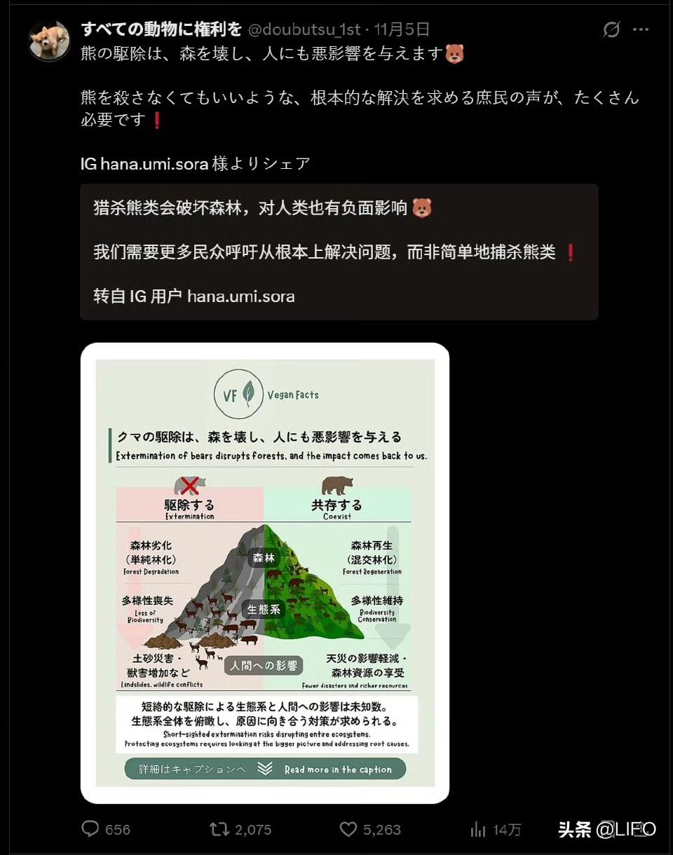 日本的动物保护组织开始呼吁“日本人应该和熊共存了”。