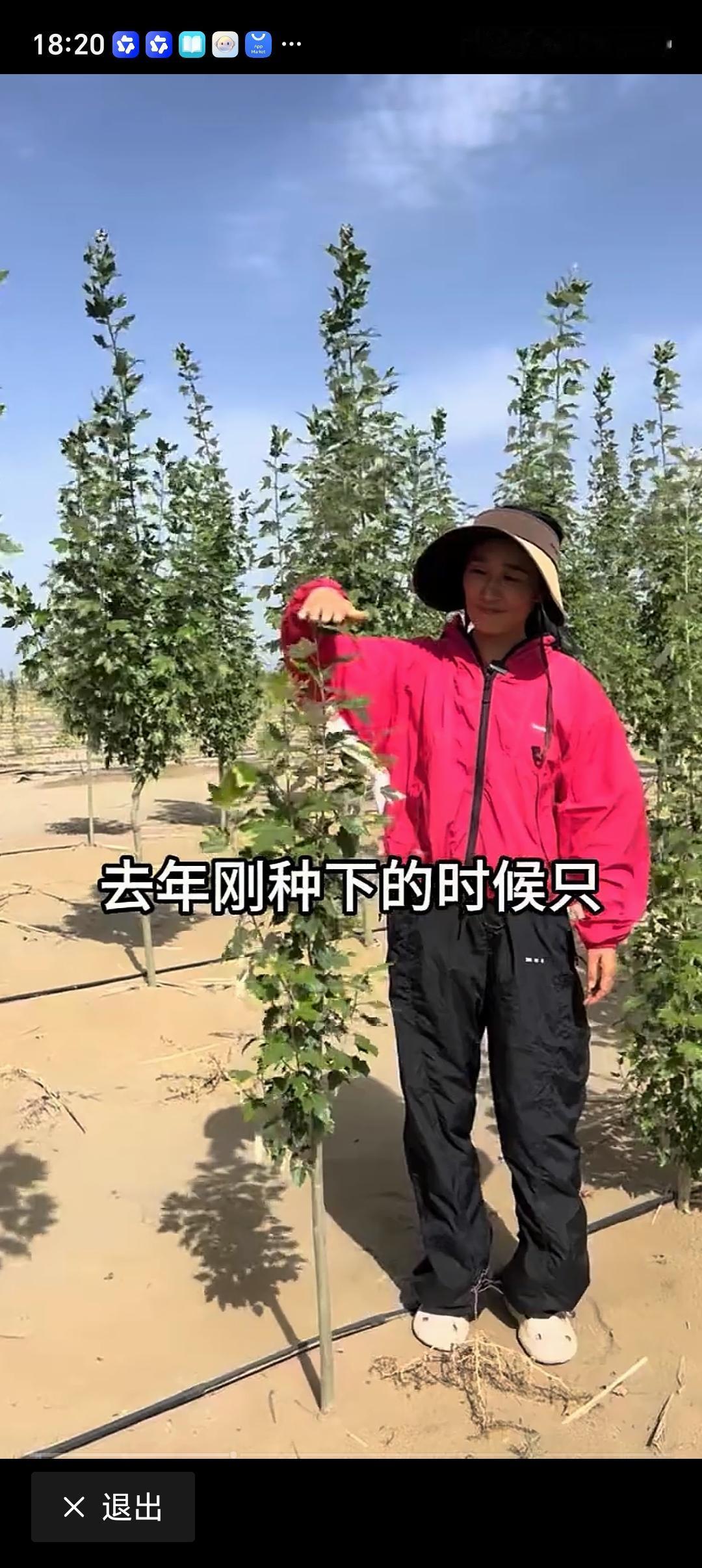 新疆开始向黄沙要收益 新疆开始向黄沙要收益，这事儿太牛了！新疆是我国沙化土地面积