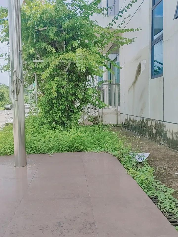 晒图笔记大赛