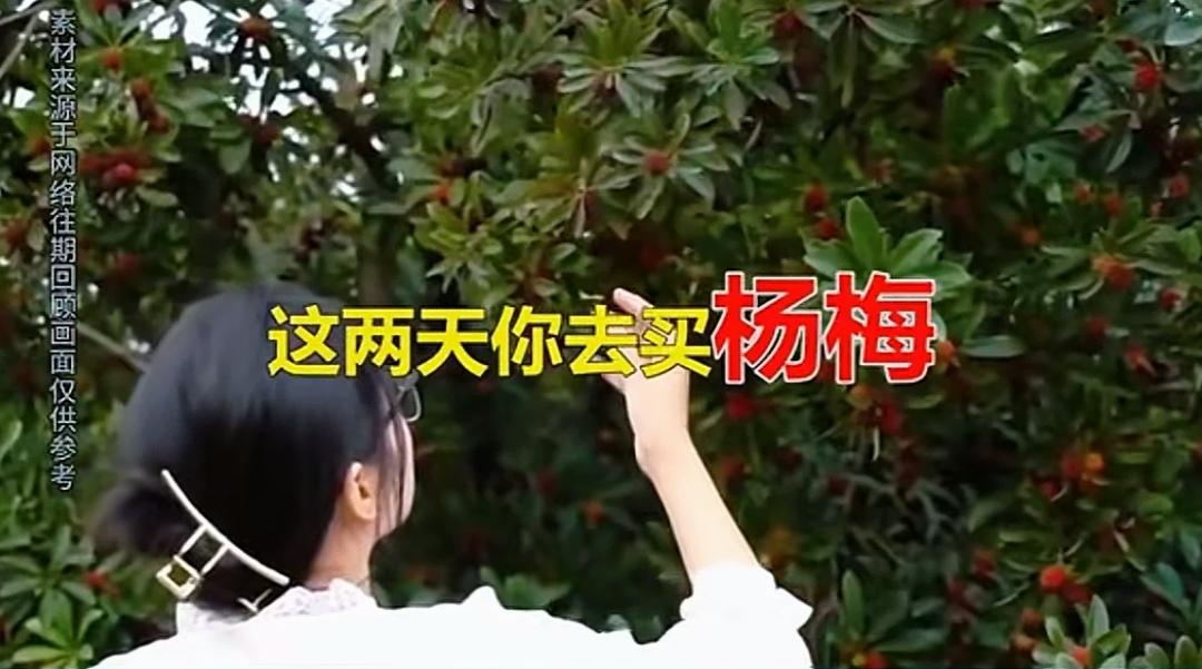 今年的杨梅，你敢买吗？
往年，开着车，看到路边卖杨梅，都会停下来买上一两篮的杨梅