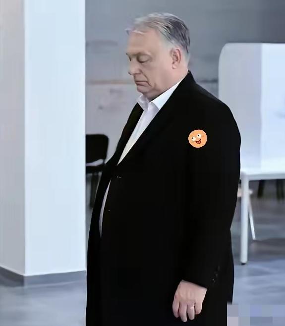 大国再厉害，也救不了欧尔班，美国和俄罗斯这下都陷入了尴尬境地！欧尔班最终还是败了