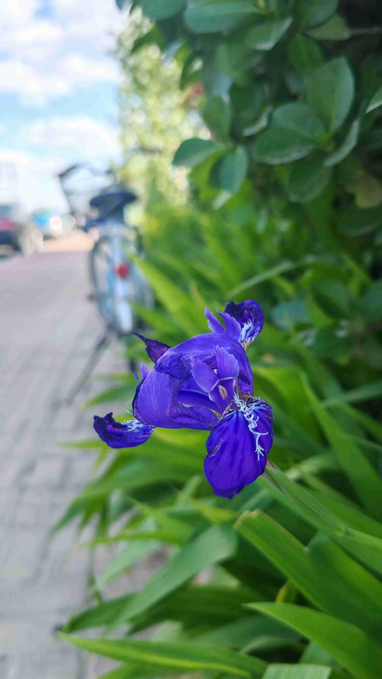 我的今日状态：😁轻松愉快
我这里的天气：☀️晴天
我发现一个问题，年龄大了真的