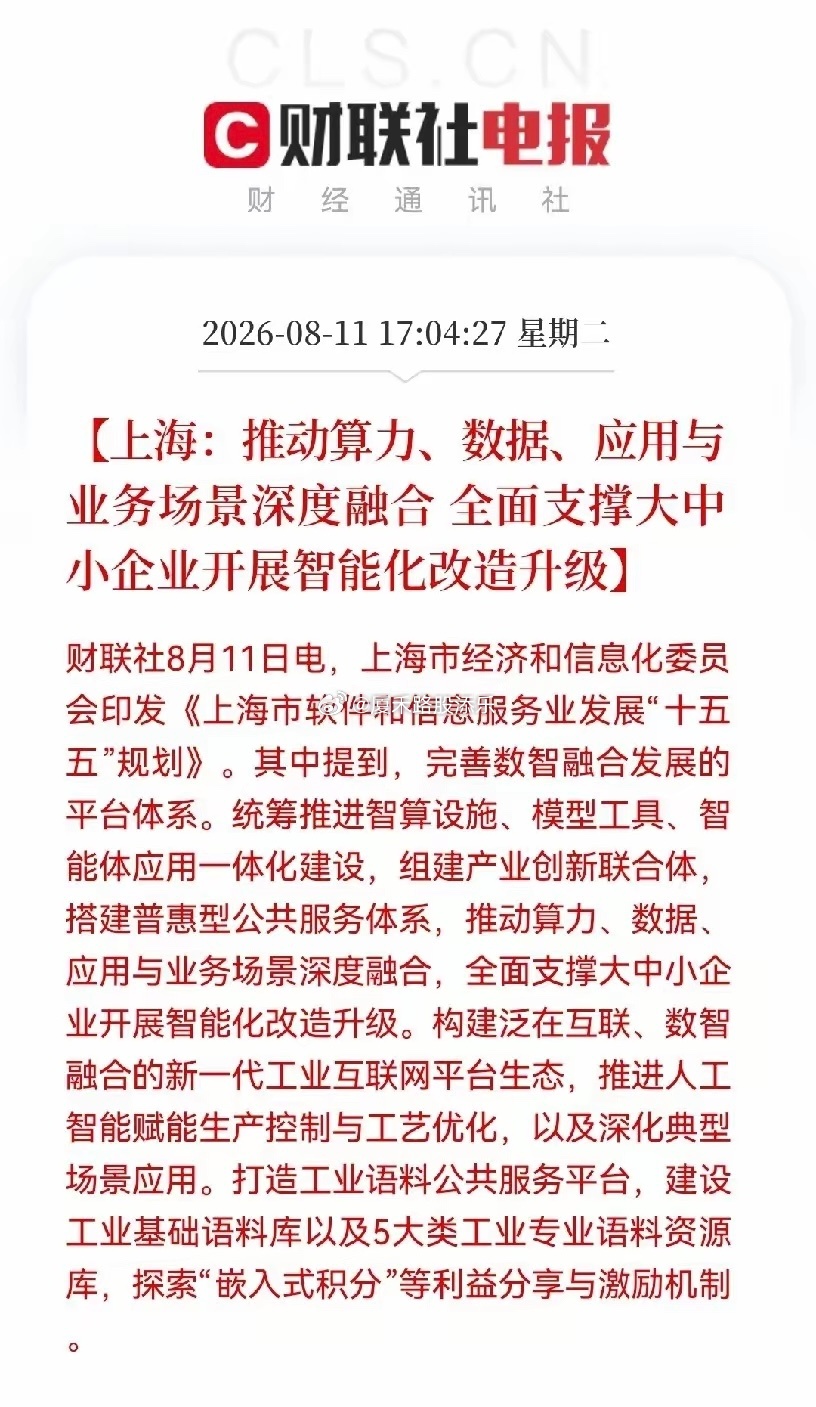 简单说就是上海要砸资源、给政策，给资金，把软件和AI产业做大做强，国产软件，国产
