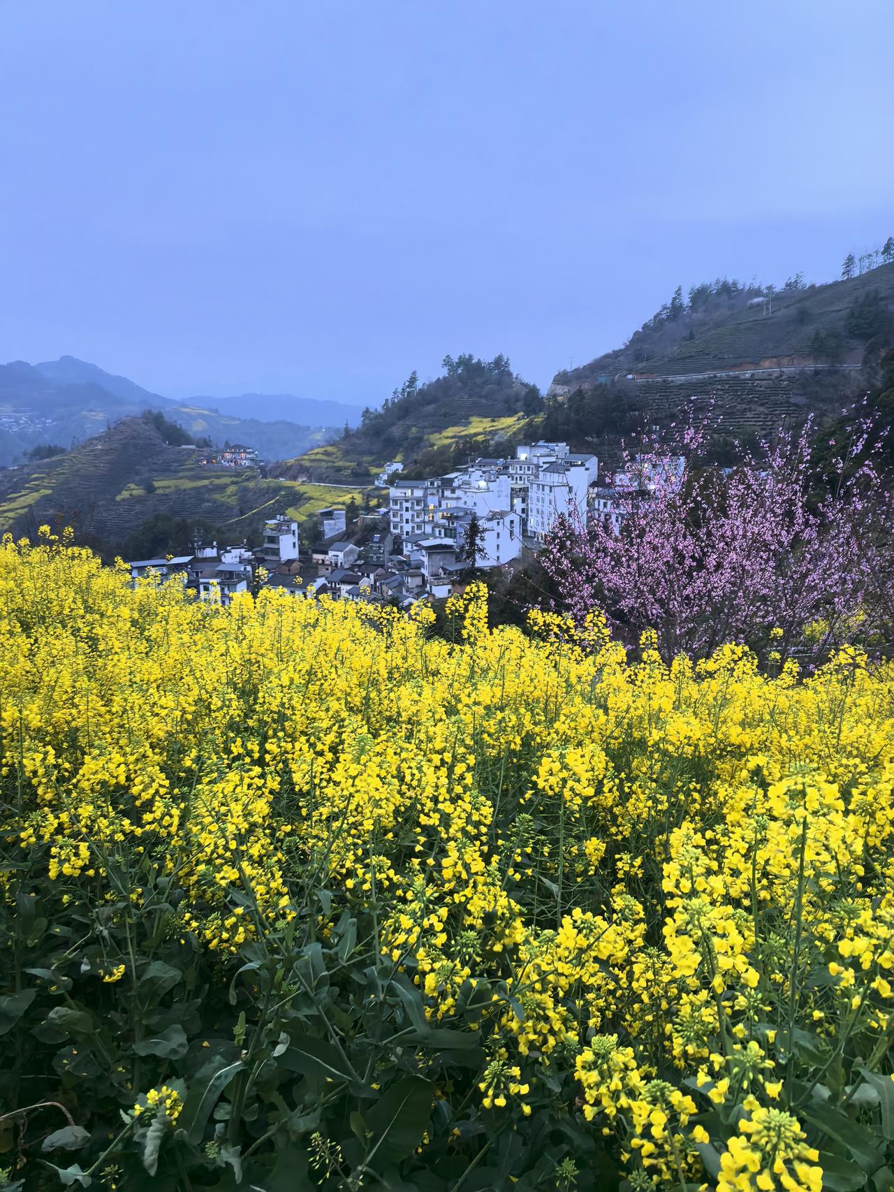 品尝了地道的农家菜，是大姐亲自下厨做的，他们家孙子还陪我聊天，还送了我小礼物。不