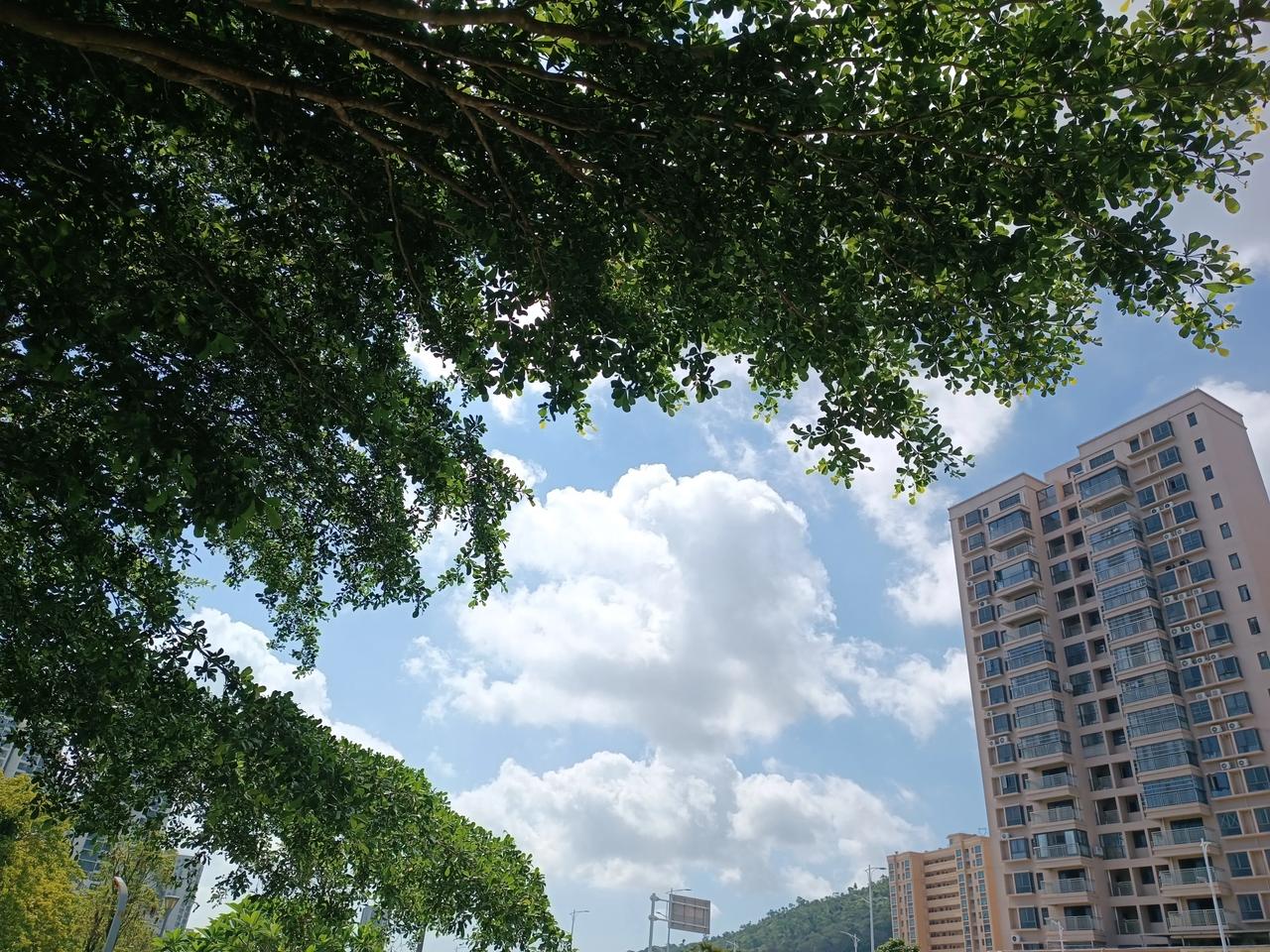 上头条召唤豆包 阳光洒满的午后，绿树掩映下的城市生活。