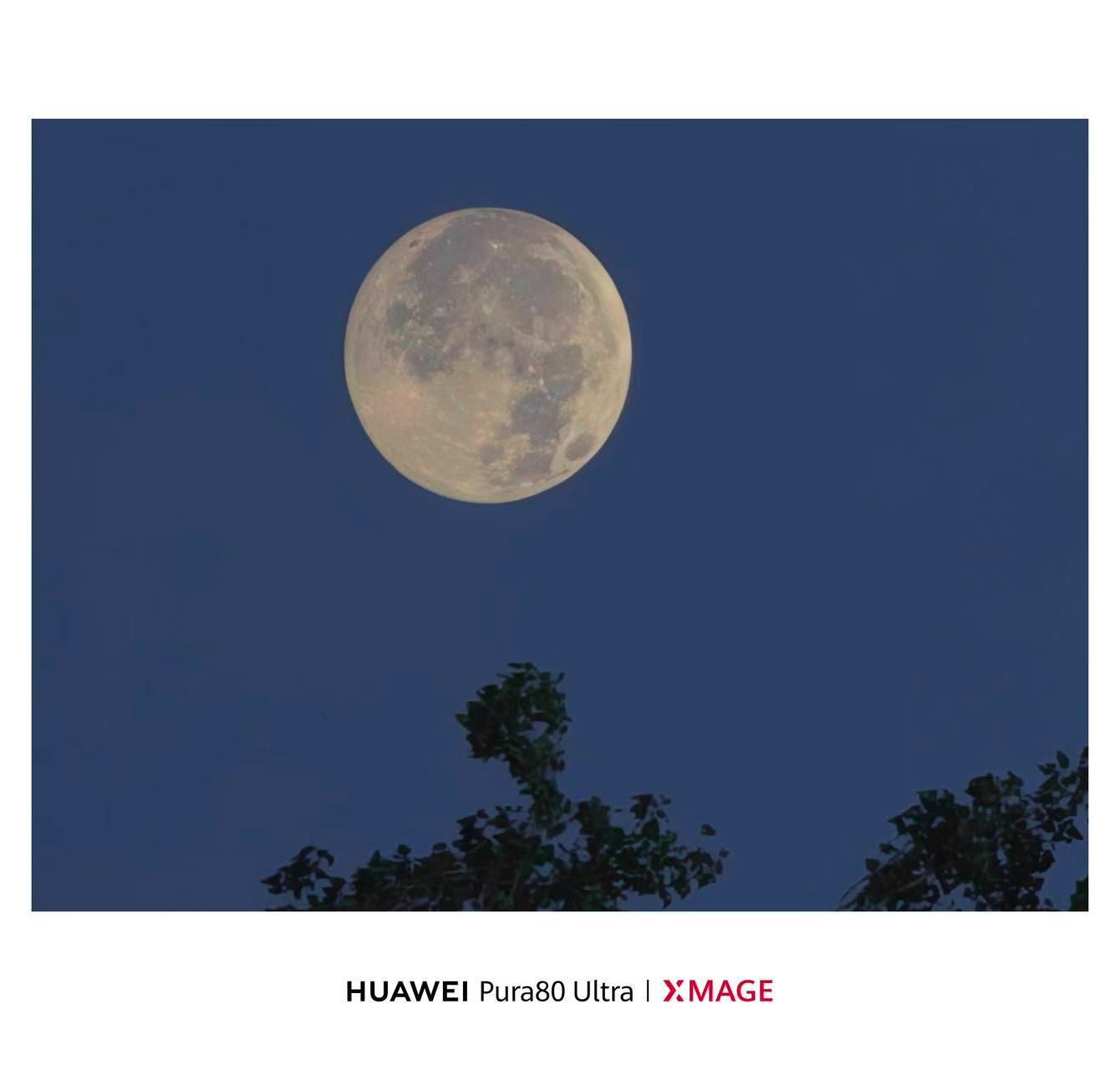 国产AI智能助手不画饼，真香上大分、鸿蒙感恩回馈季开启，不做选择，价格性能全都要