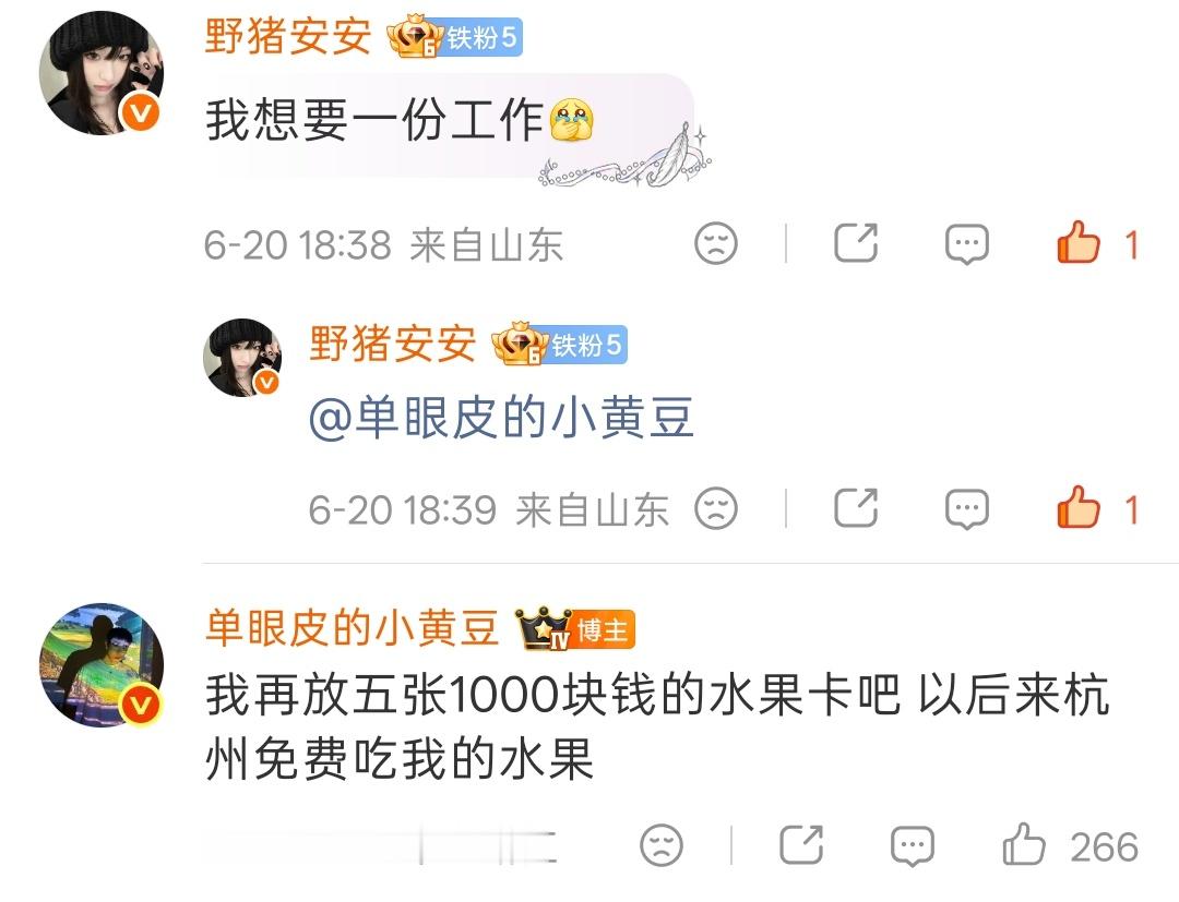 已许愿 望成真 