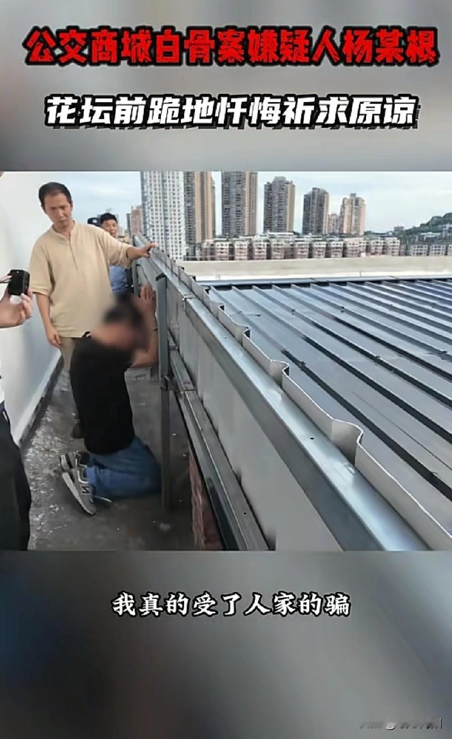 最就消息:泸州花坛白骨案，嫌犯陈某芬、杨某根以故意杀人罪提起公诉，己移送至法院！