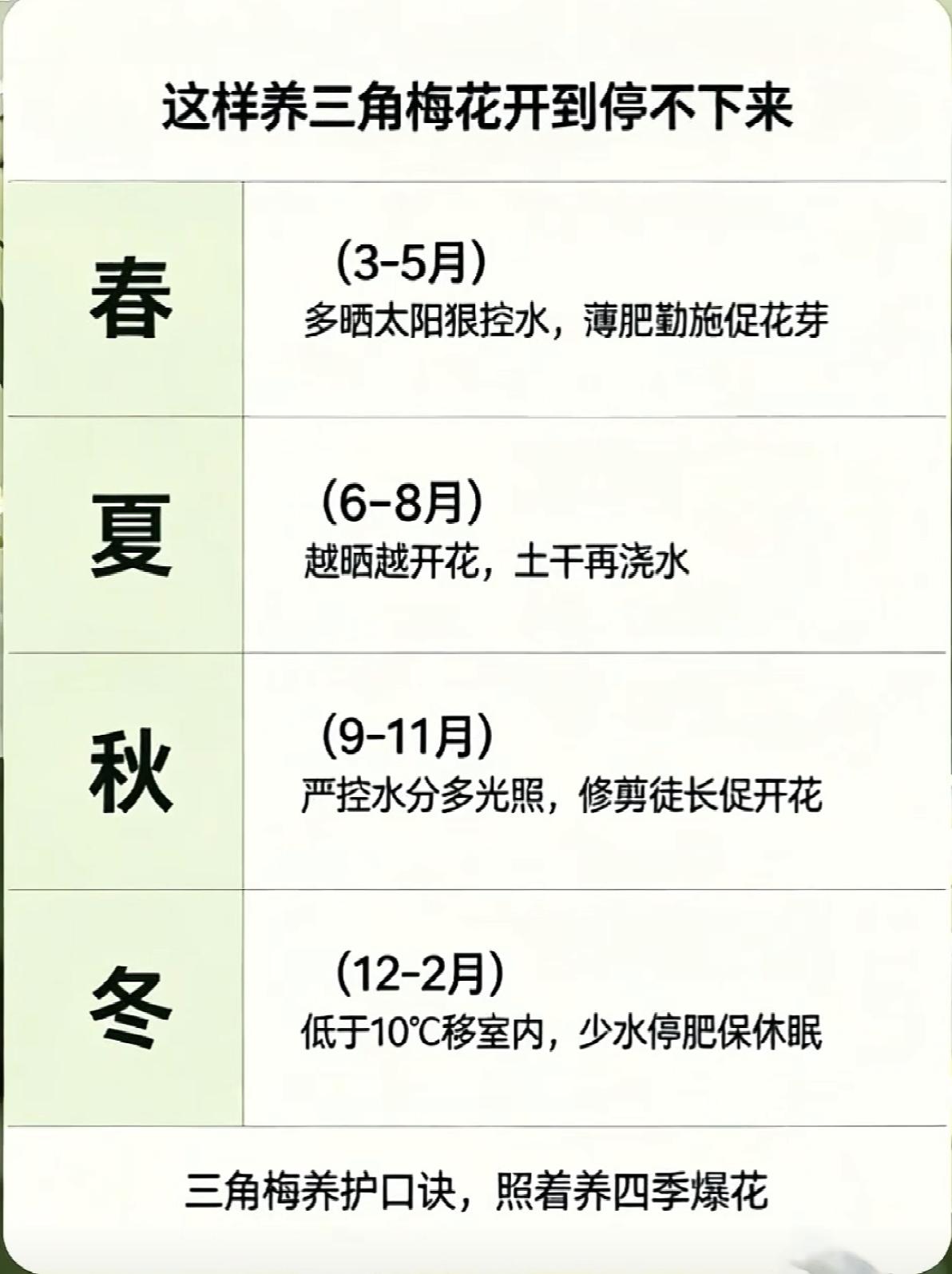 三角梅不开花是真的没养好