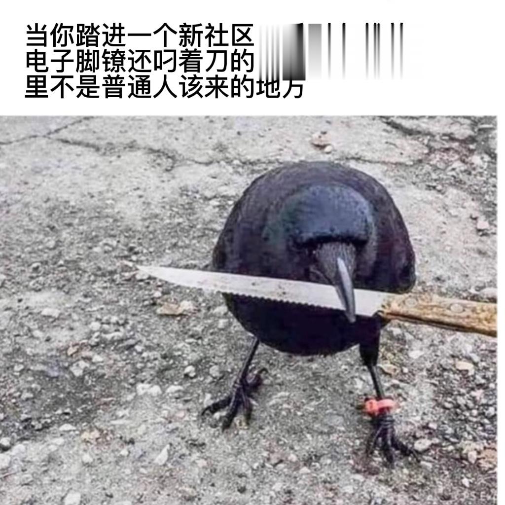 实相点快离开这#今日memes##趣过夏天# ​​​