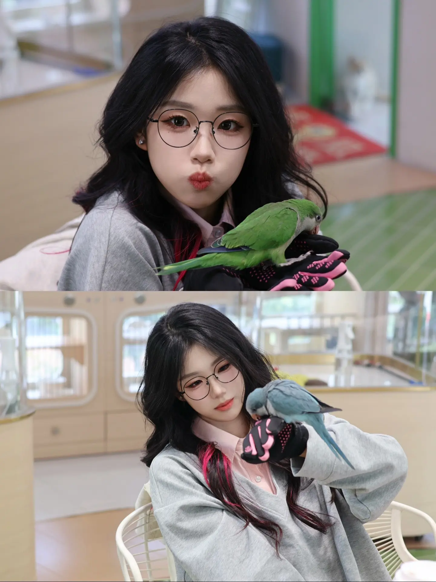 图片中有多个萌物 请找出最萌的一款