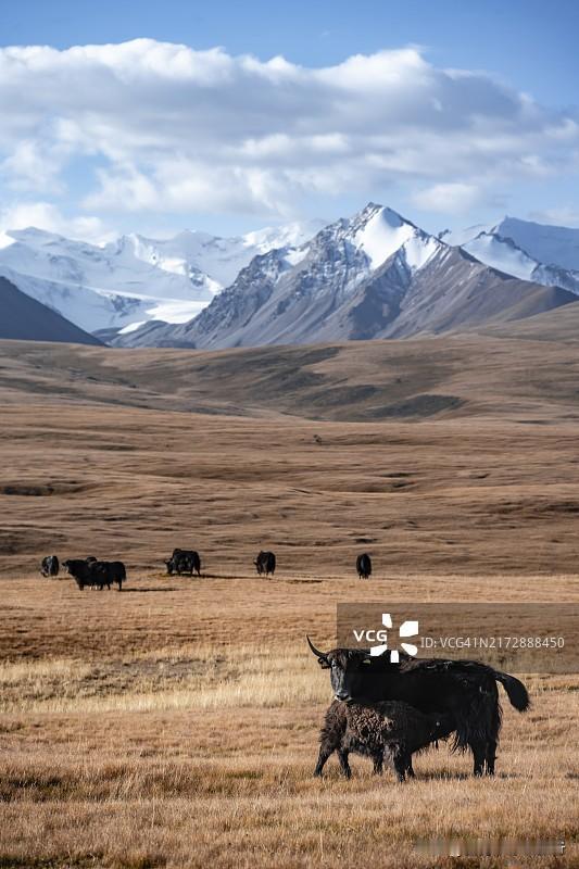 在你心目中海拔多少算是高海拔? 在我看来，海拔1500米以上便算得上高海拔了。通