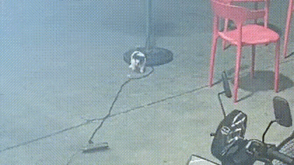 为了这一口，值了[捂脸][捂脸][捂脸]
