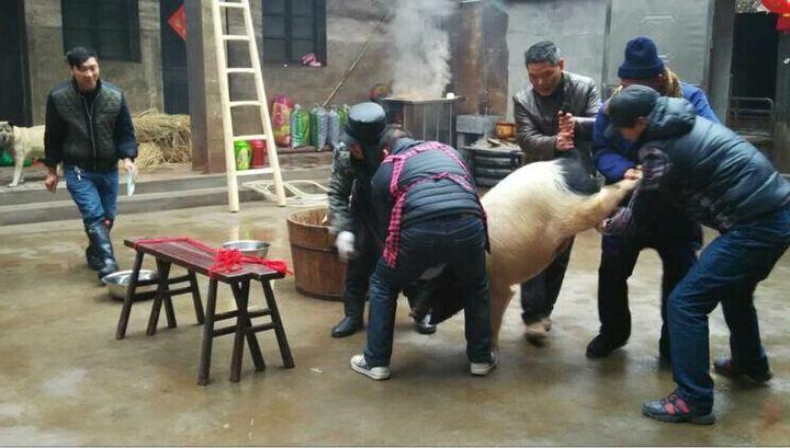 一场杀猪宴，就4桌，场地费、卫生费、柴火费、用水用电敢要2000块，这是穷疯了，