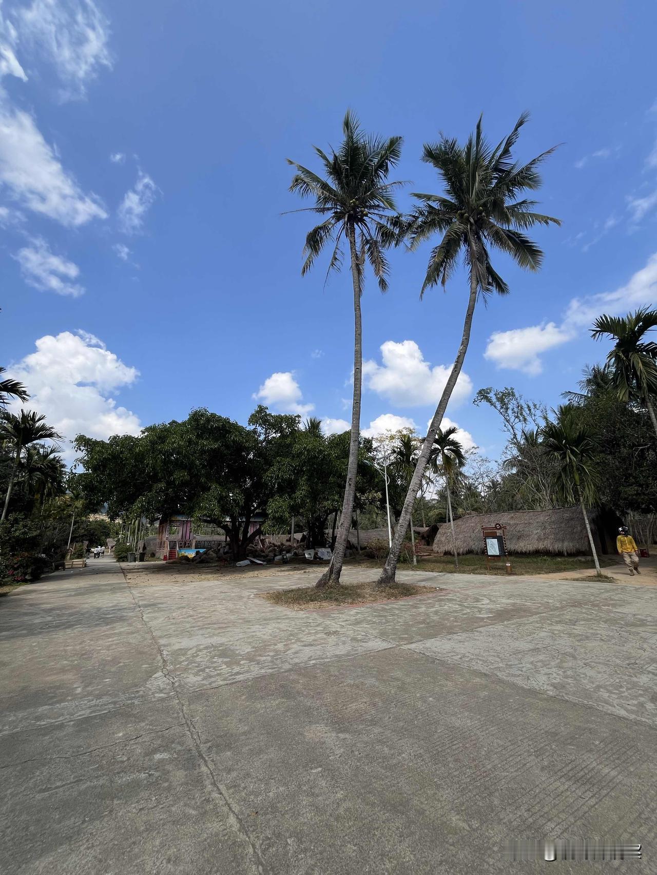 分享一张你相册里最好看的蓝天照片九张蓝天照，飞翔在九天之上，眼阔心宽，独享那份惬