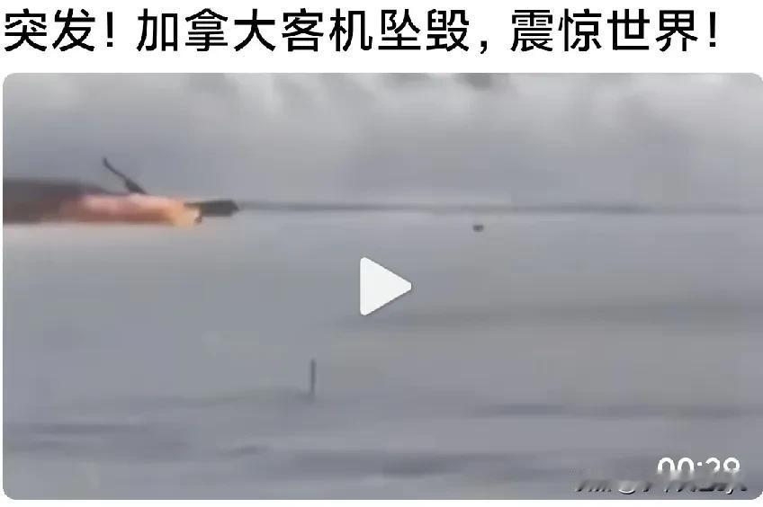 多伦多皮尔斯机场客机坠落，真的假的？烦请证实