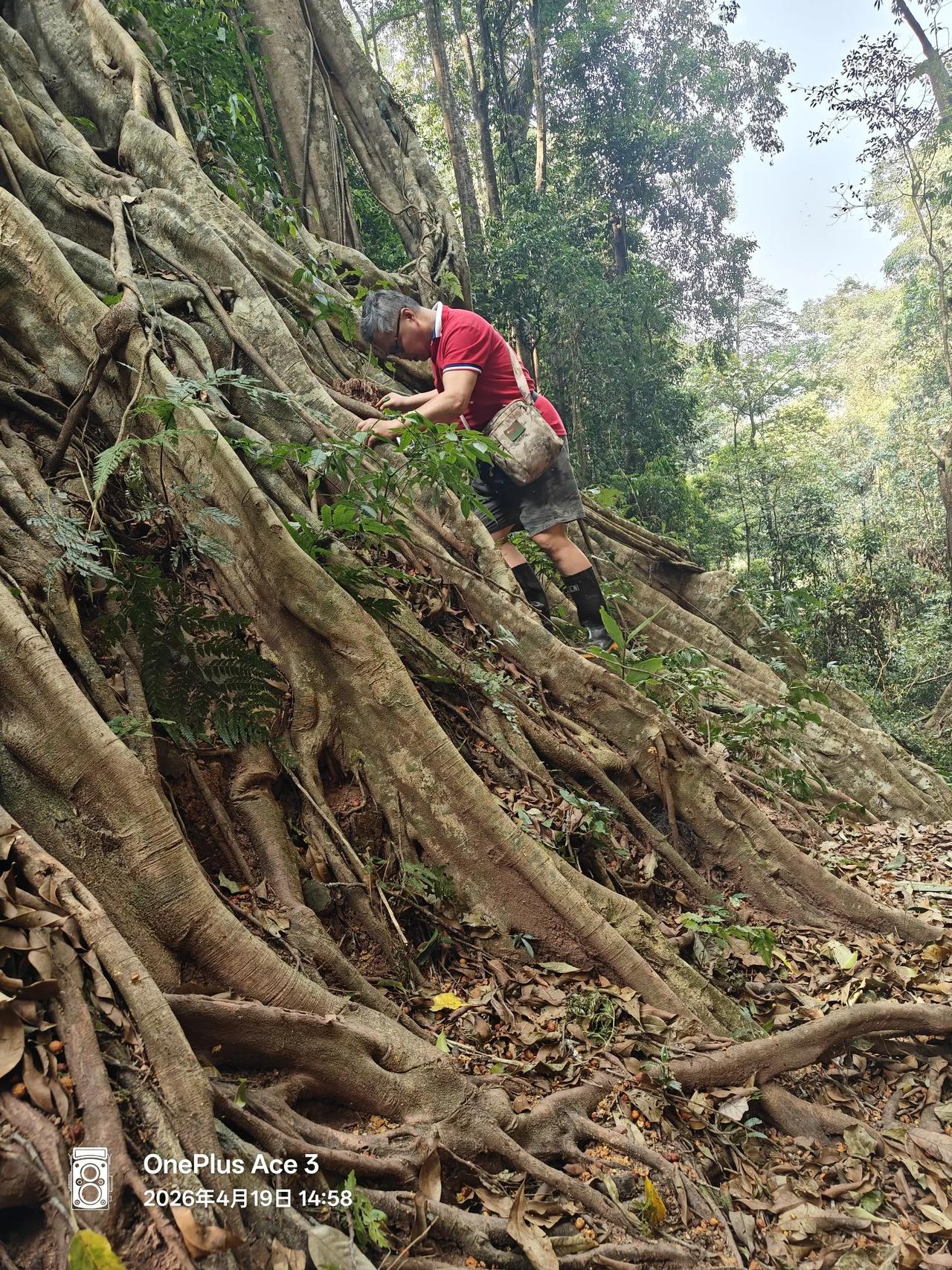 我50年前，在步兵第120师卫生员训练队铺挨铺老战友漪滨兄，刚才我和大侄子小峰把