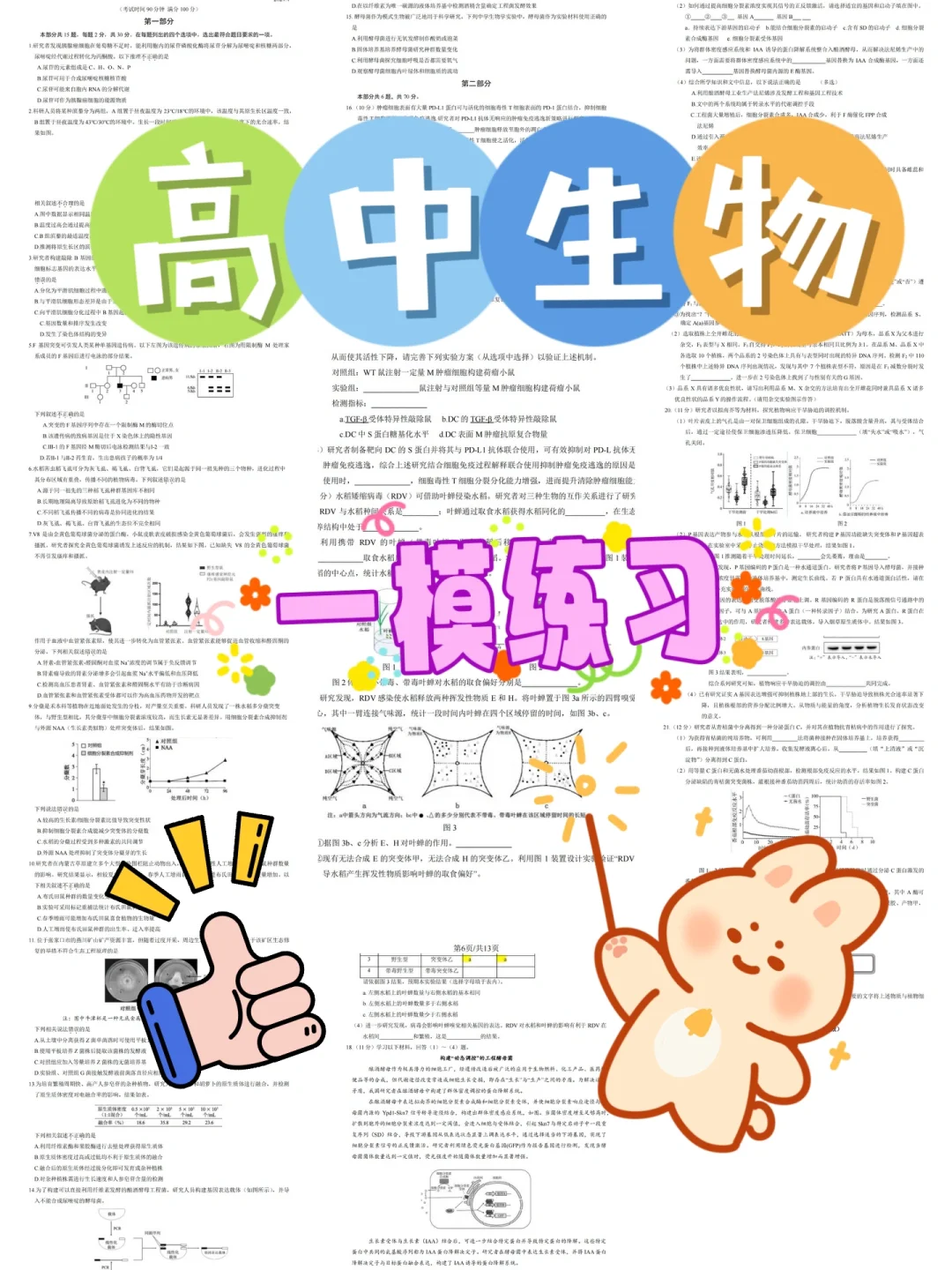 高考生物 | 一模练习（东城区）