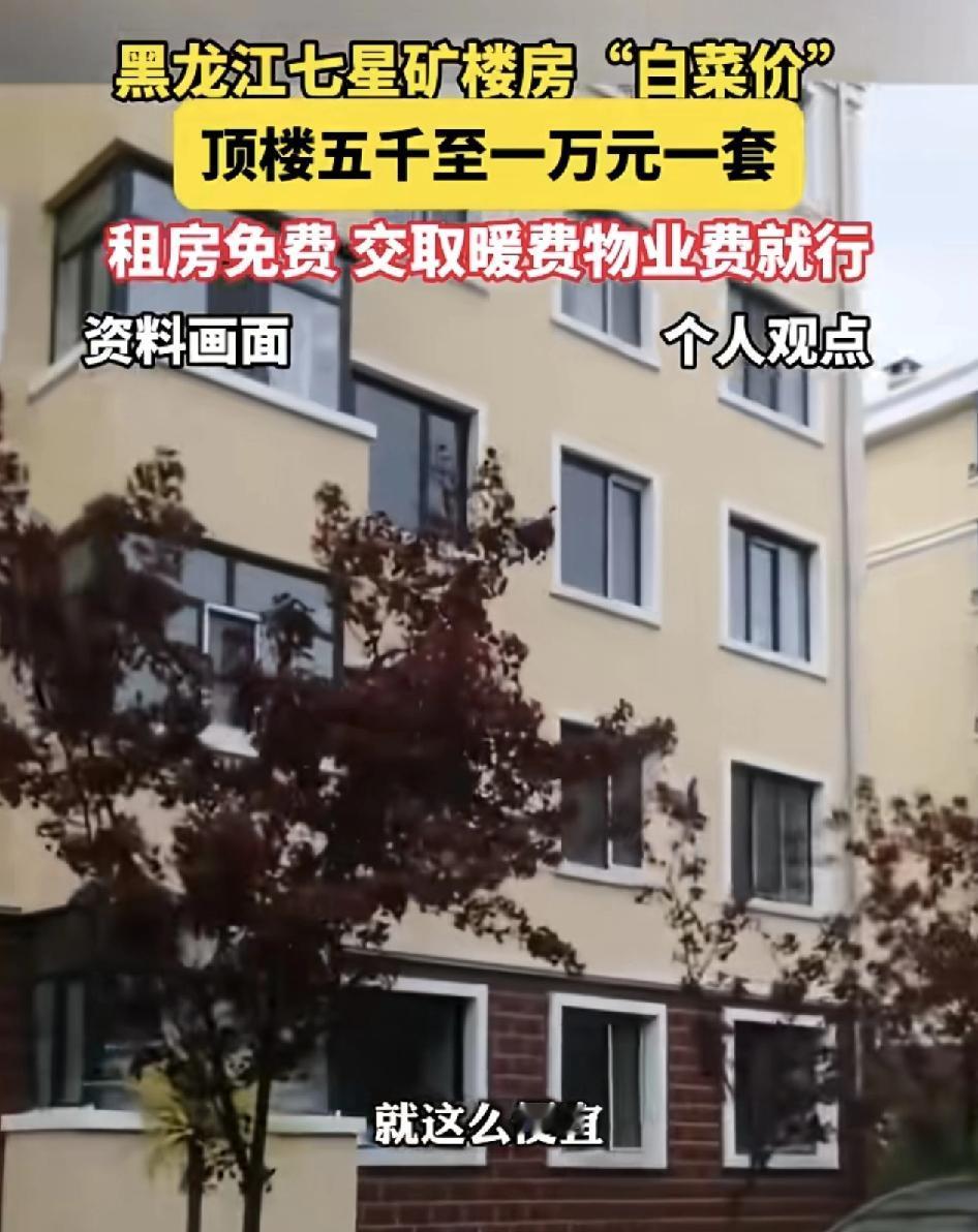 黑龙江网友发视频称自家附近的小区房价是按论套来买的，顶楼1万块钱一套，甚至500