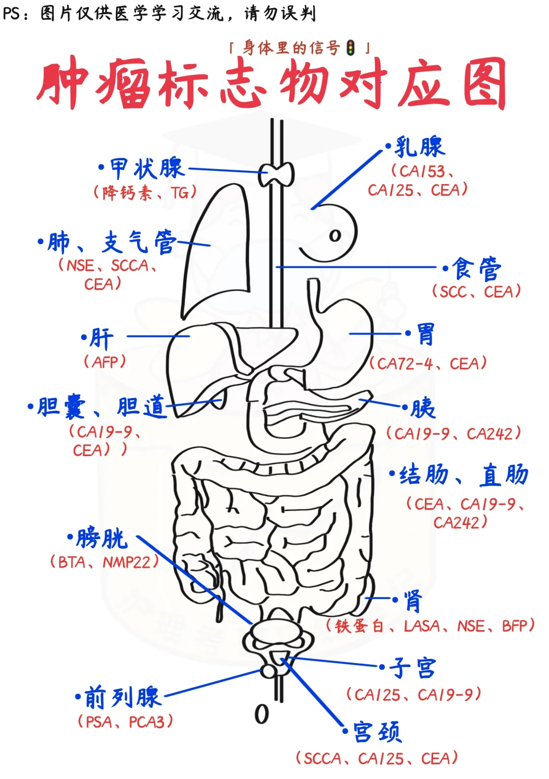 📒医学生笔记｜肿瘤标志物解读‼️吸烟的坏处