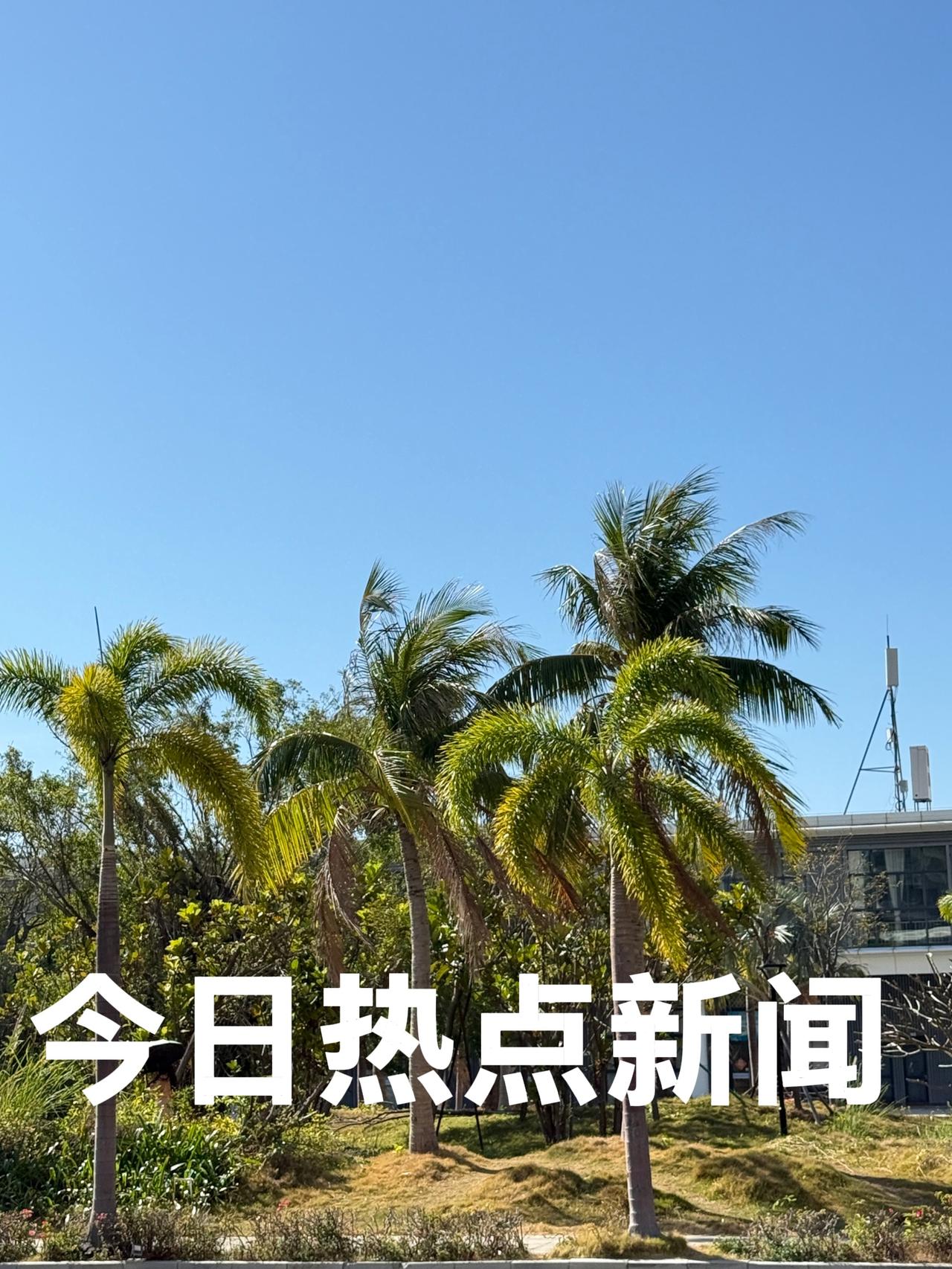 2025年12月25日   圣诞节🎄🧑‍🎄🎄
今日热点新闻：

1、20