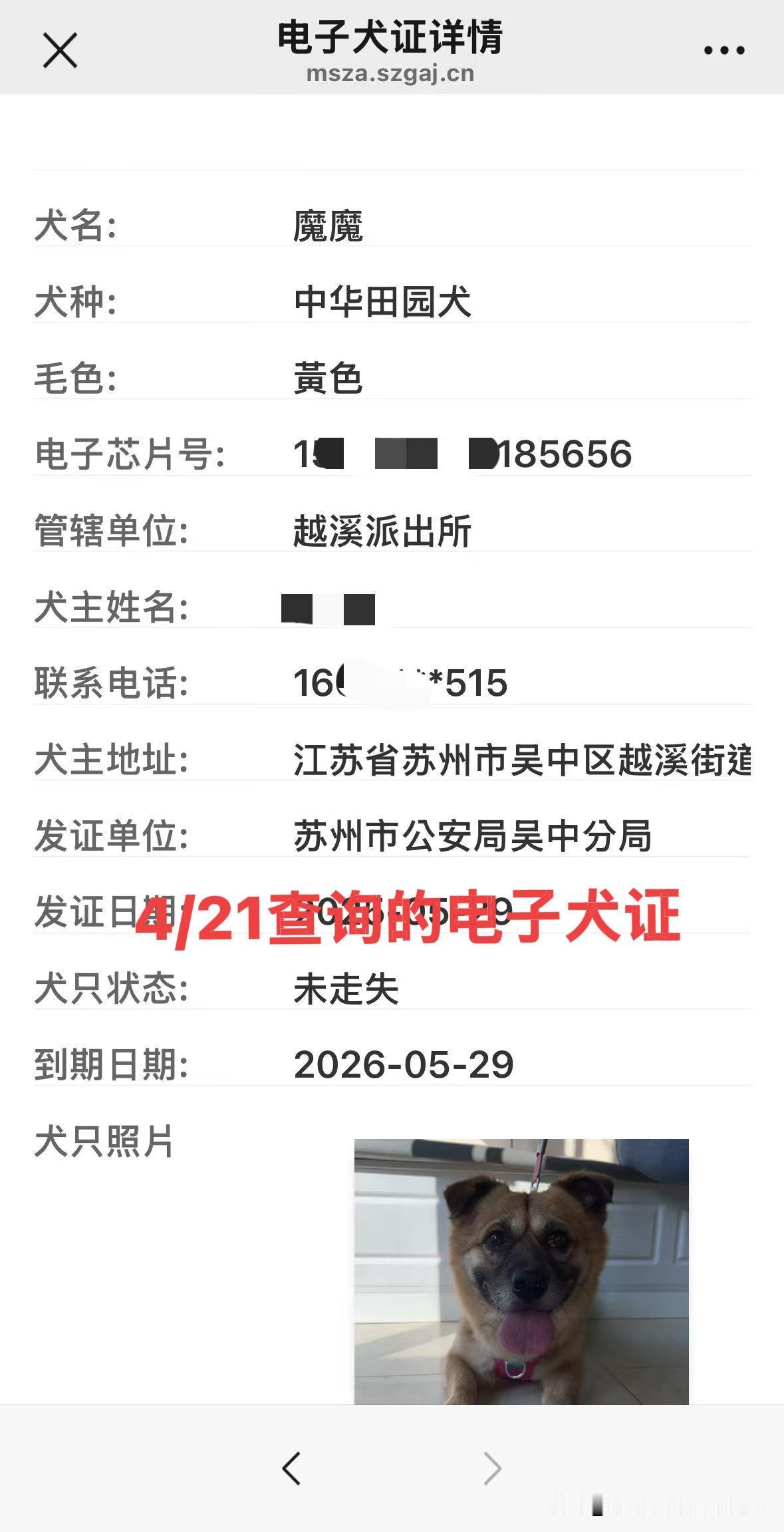 台北人在苏州，真的要给苏州公部门的服务点赞！假日不休息，随时回答民众的咨询，服务