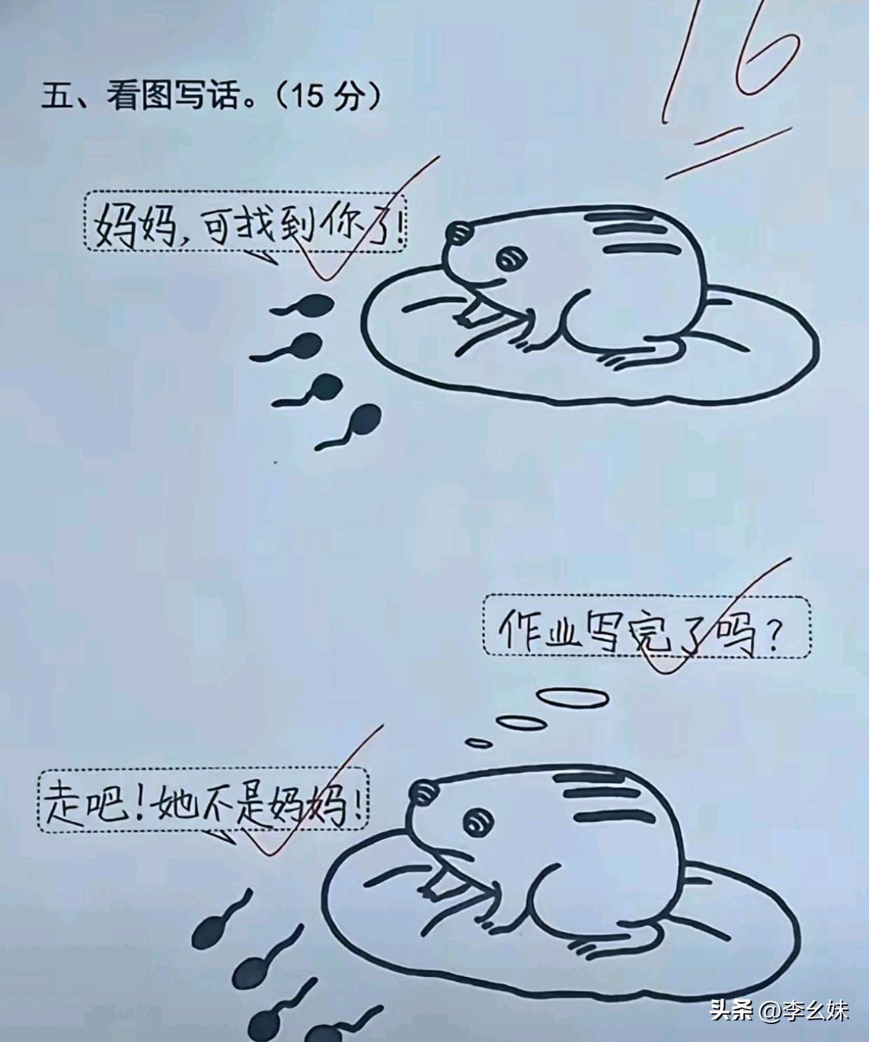 啥意思啊没看懂，有看懂的没？