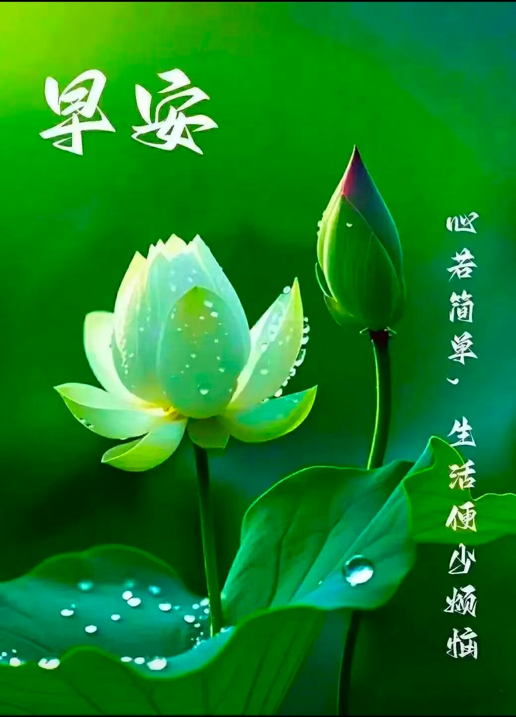 分享图片 ​​​