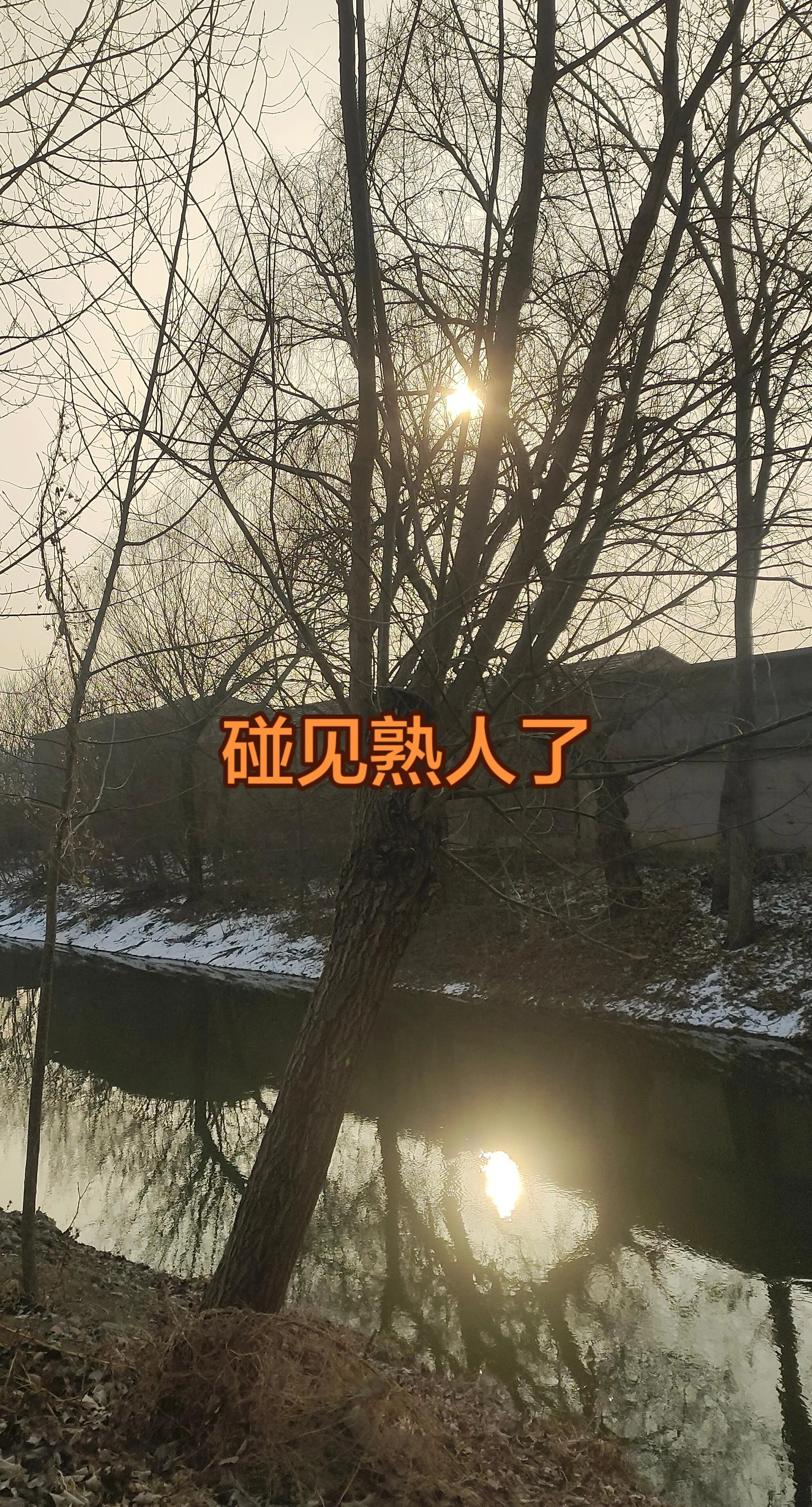 每日更新不同的故事