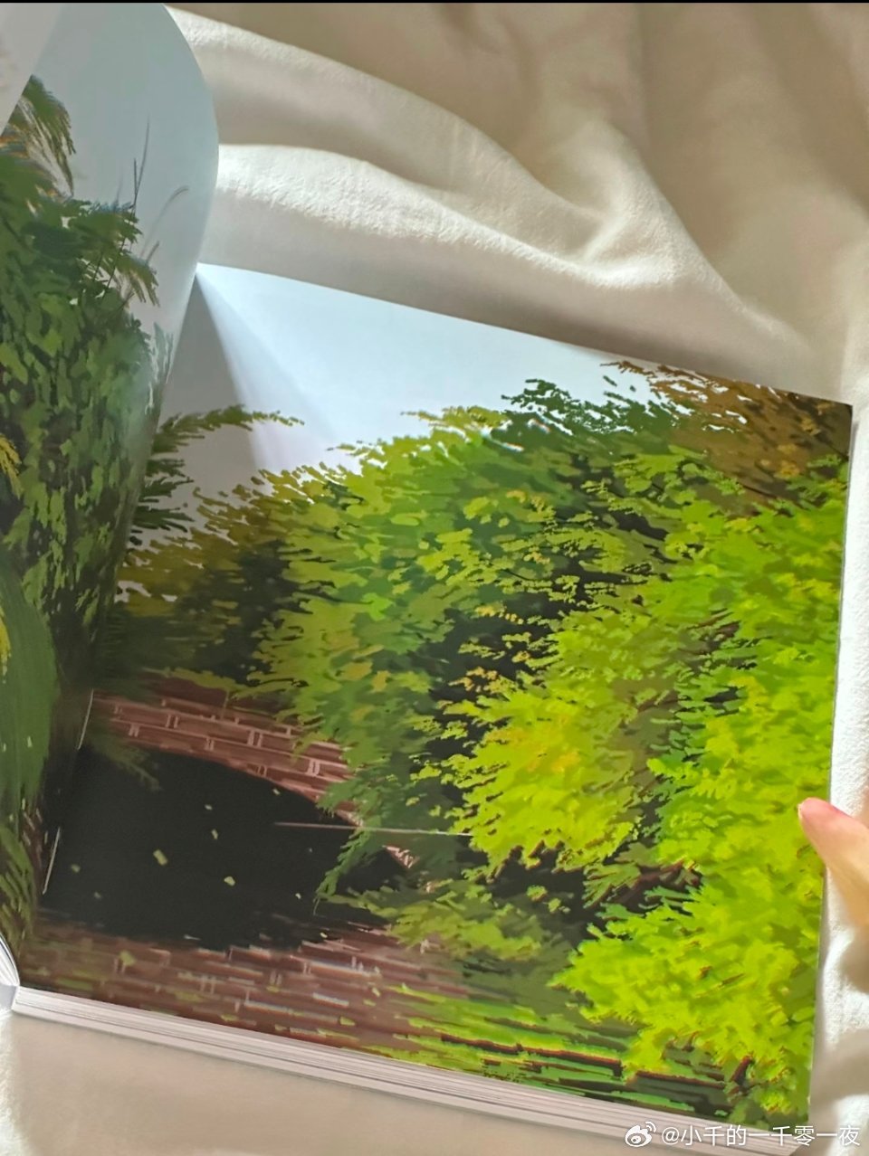 谁能想到，一本图书里，居然有这么绚烂的插画，美爆了！！