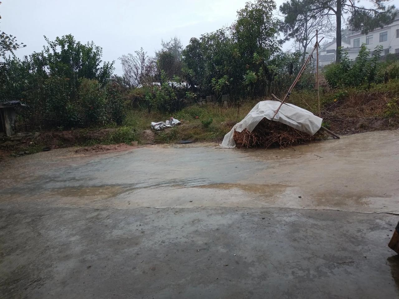 喜雨
喜雨！今天，2024年10月18日，农历甲辰年，九月十六日，老天终于来了一