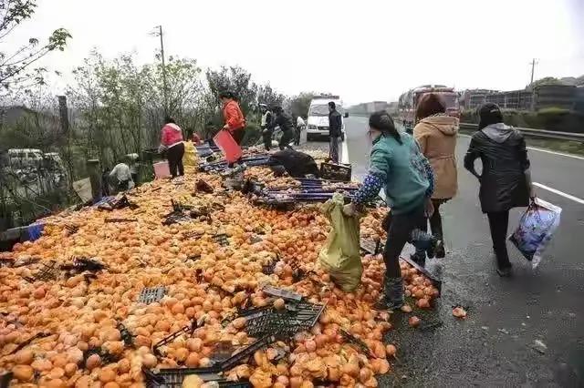 什么叫高速绿色通道？恐怕很多人不懂！

就是政府给农民的绿色农产品开的特殊通道，