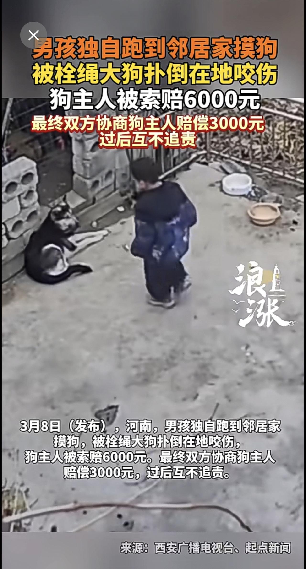 男孩独自跑到邻居家摸狗 被栓绳大狗扑倒在地咬伤 狗主人被索赔6000元（青岛新闻