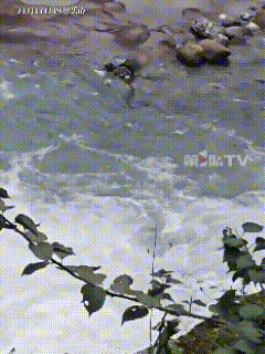 男子绝对是见义勇为，不仅孩子家长要表示感谢，政府有关部门也要隆重表彰！在四川，一