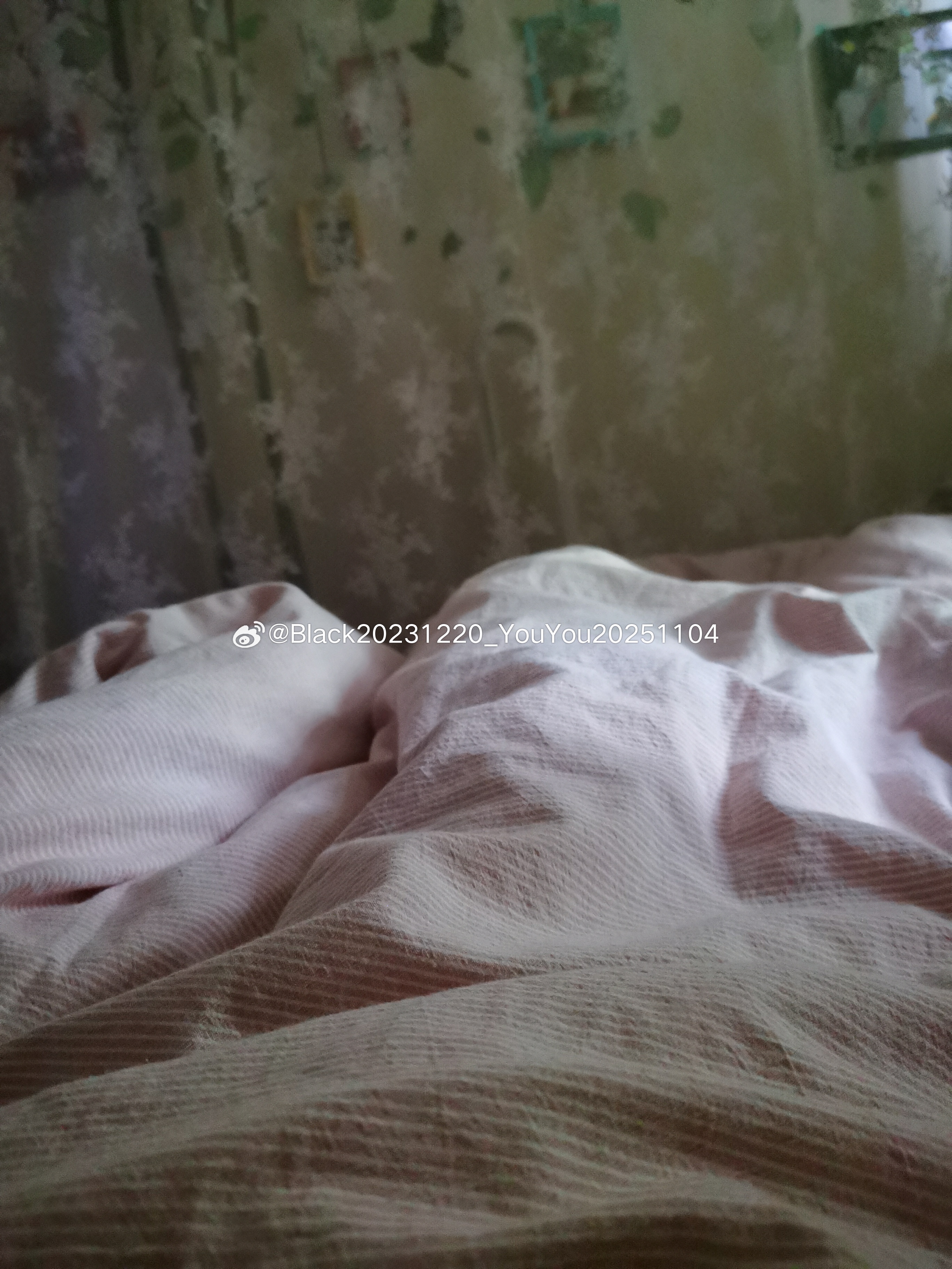 不想起 根本不想起但我妈做的红烧鱼在召唤我而且我爸已经帮我把鱼刺都挑了