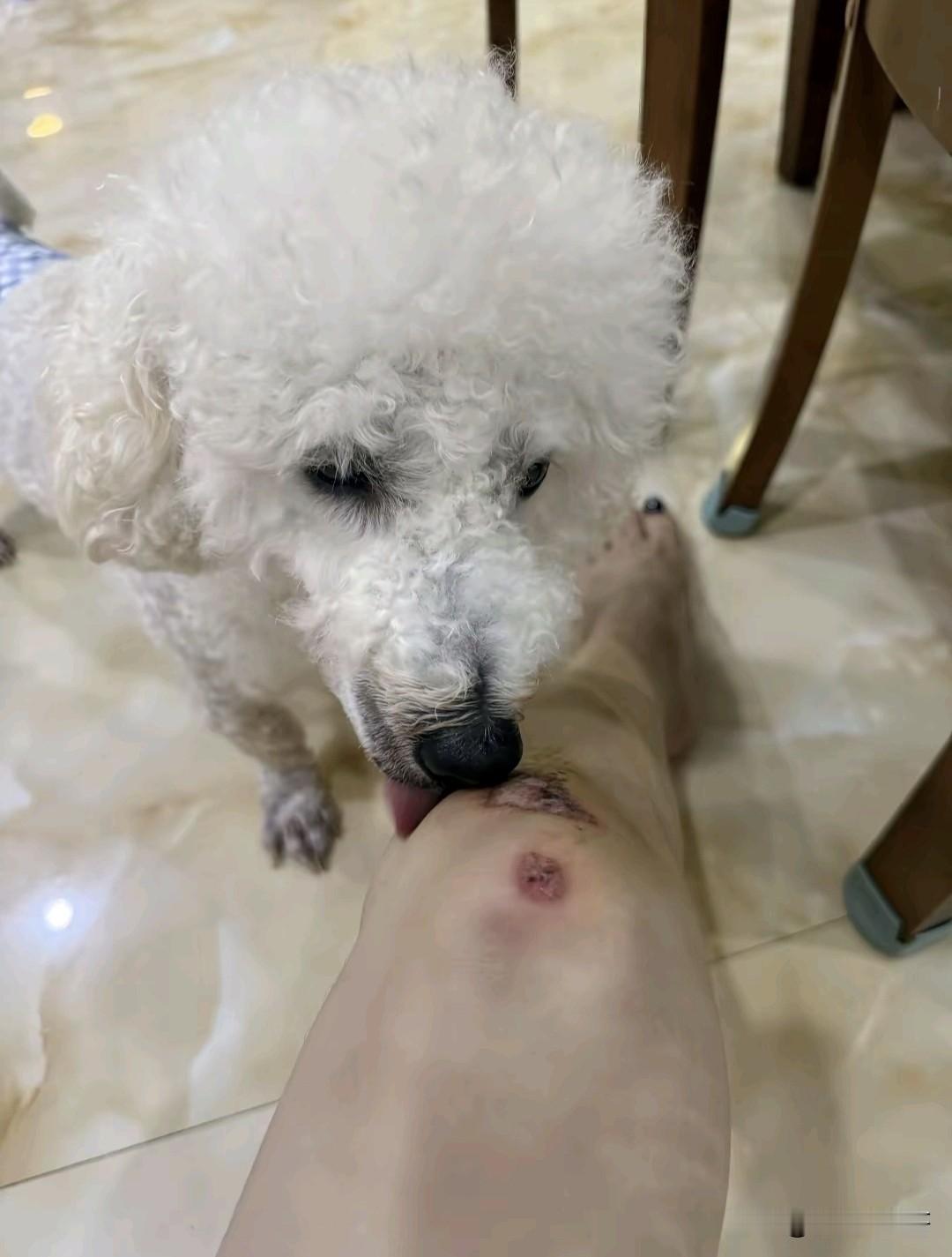 人可以蠢到什么程度，这个就是