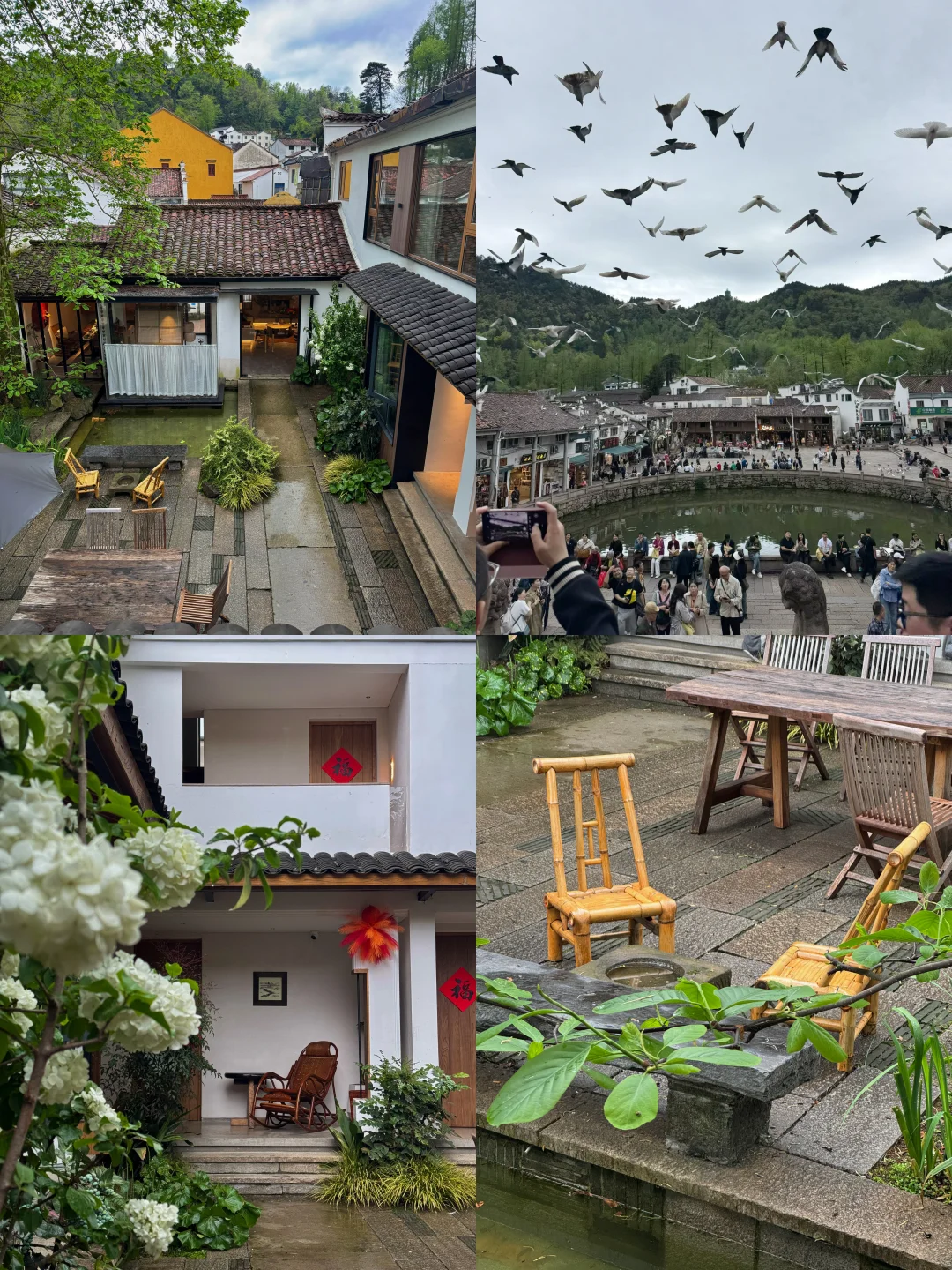 九华山初春｜山里有方小院，足以安放春天